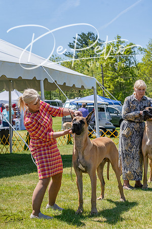 20230514-DSC08042