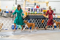20261023-DSC04902