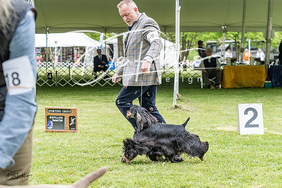 20230427-DSC06246