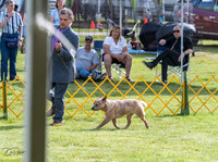 20230513-DSC01231