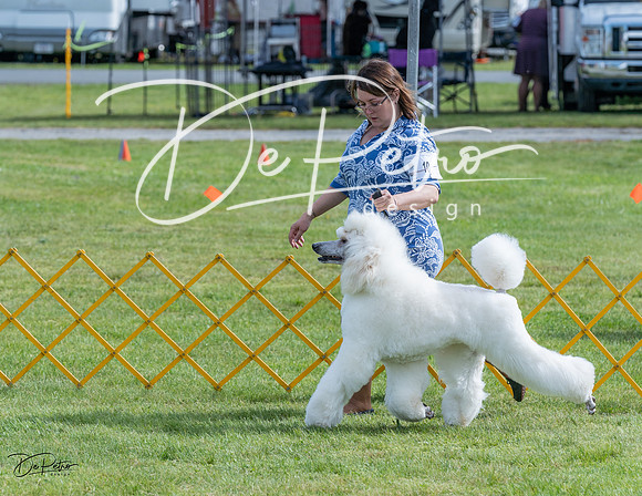 20230513-DSC00312