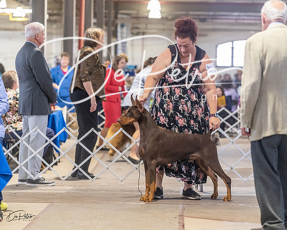 20230401-DSC06459