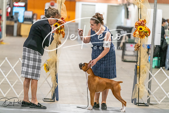 20261022-DSC00002