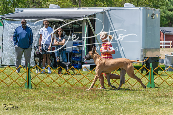 20230514-DSC07930