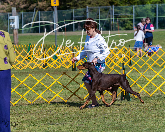 20230514-DSC02710