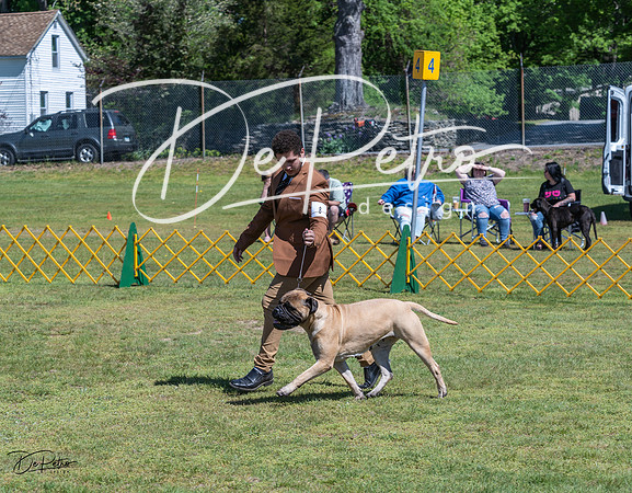 20230514-DSC03708