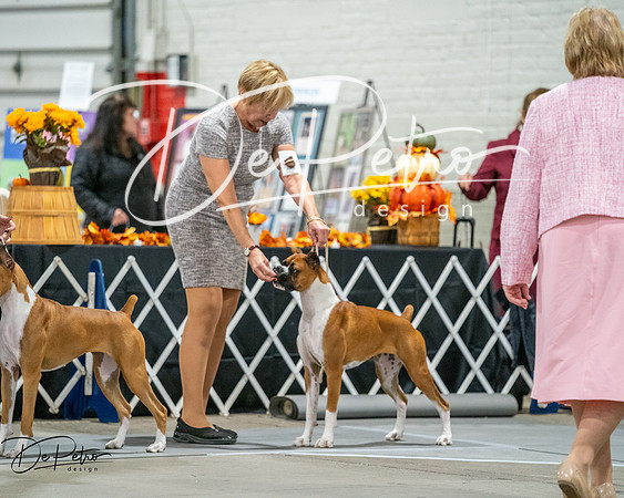 20261022-DSC03132