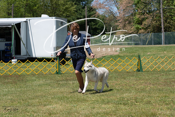 20230514-DSC04633