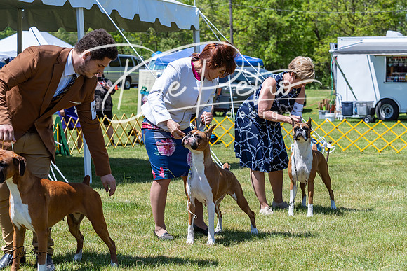 20230514-DSC04065