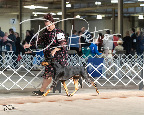 20230402-DSC08768