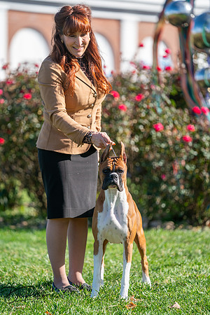20261024-DSC01055
