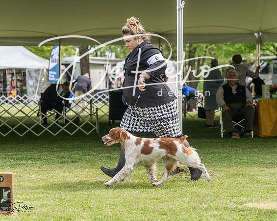 20230427-DSC06077