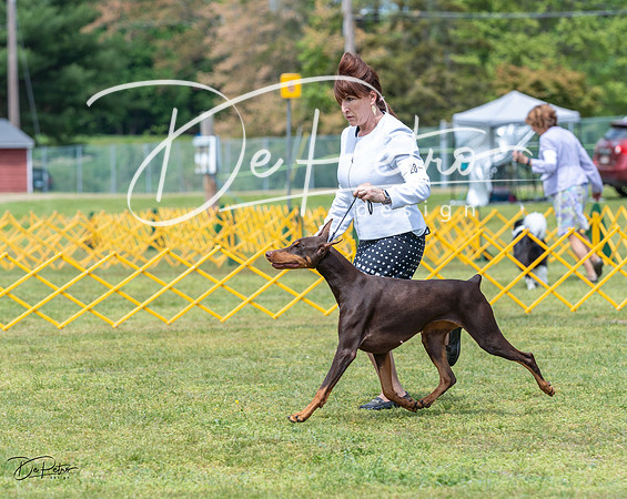 20230513-DSC08531