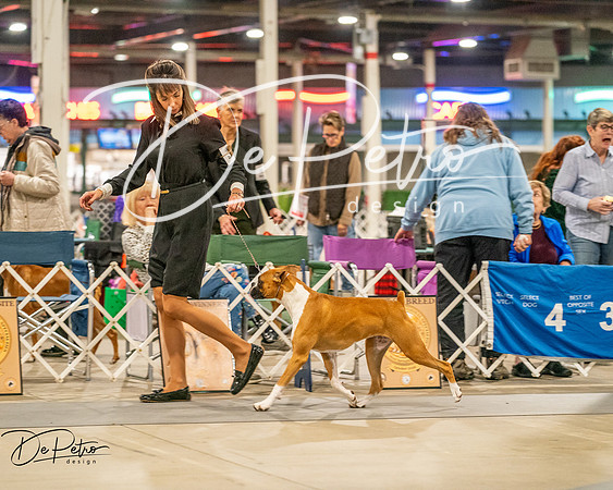 20261022-DSC01664