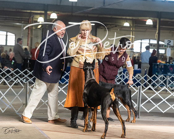 20230402-DSC08996