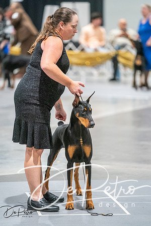 20260926-DSC04164