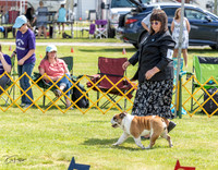 20230512-DSC03964