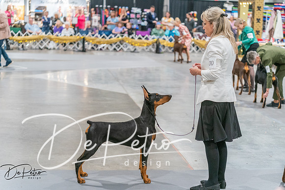 20260927-DSC05250