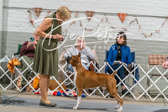 20261023-DSC05729