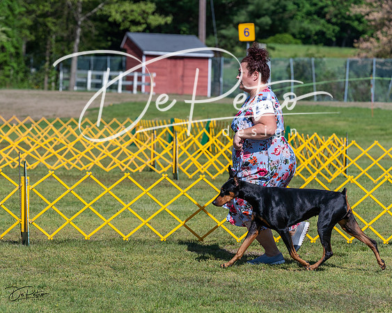 20230514-DSC02836