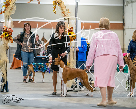 20261022-DSC02763