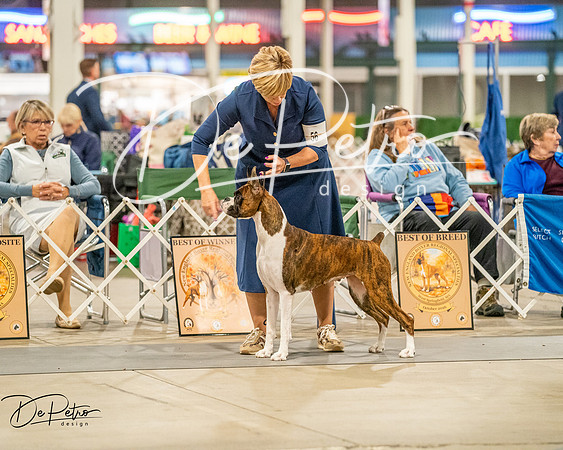 20261022-DSC01788