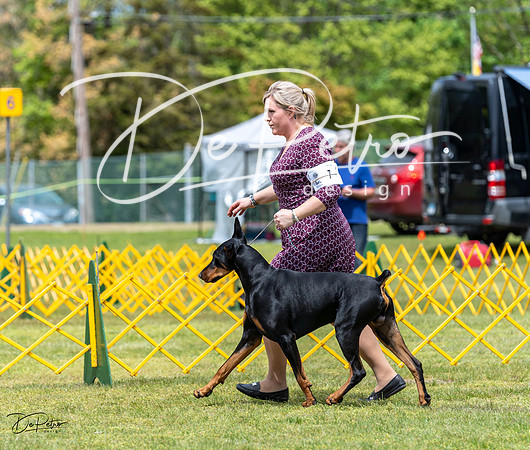 20230513-DSC08259