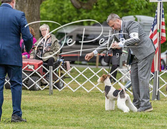 20230427-DSC07429