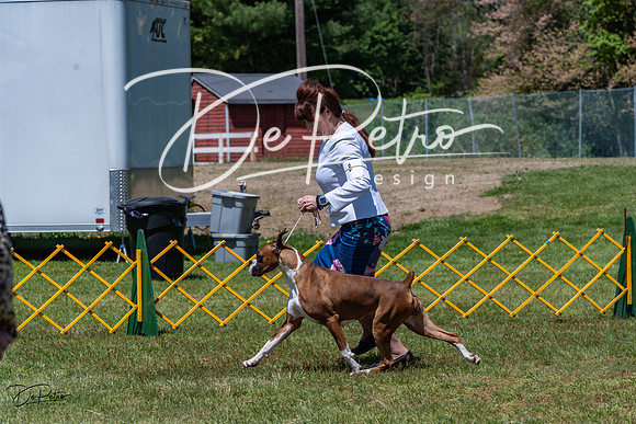 20230514-DSC04207