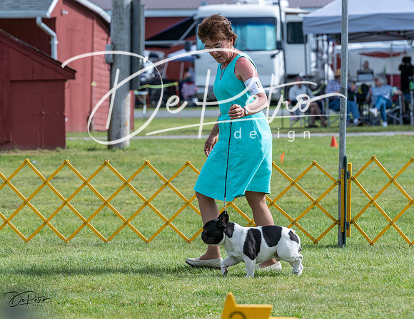 20230513-DSC00377