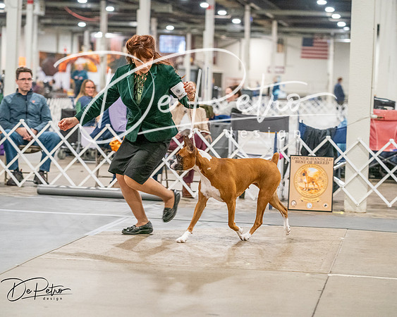 20261022-DSC01855