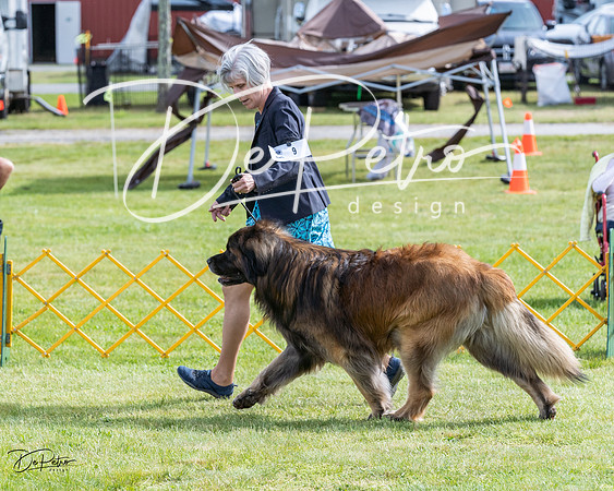 20230513-DSC00613