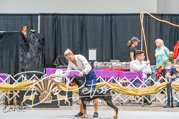 20260930-DSC06748