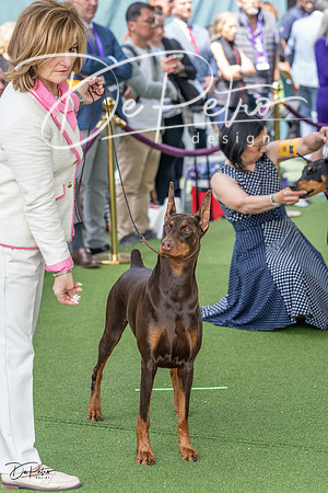 20230509-DSC01464