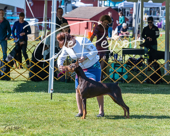 20230514-DSC02798
