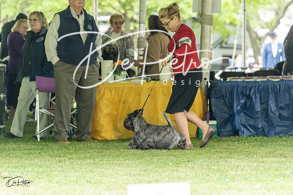 20230427-DSC04128