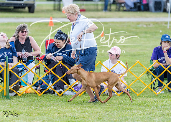 20230512-DSC03684