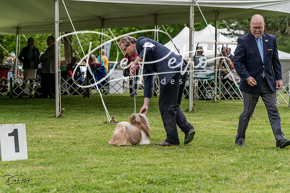 20230427-DSC04213