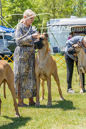 20230514-DSC08038