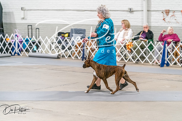 20261022-DSC00541