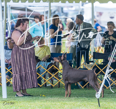 20230513-DSC08665