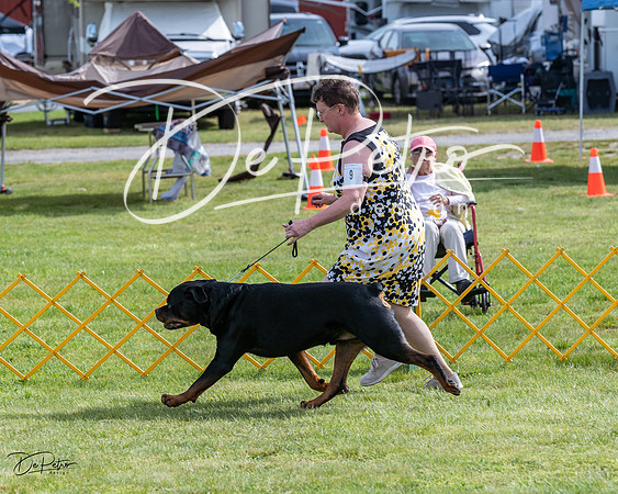 20230513-DSC00681