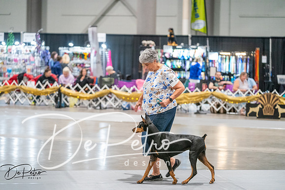 20260926-DSC04607