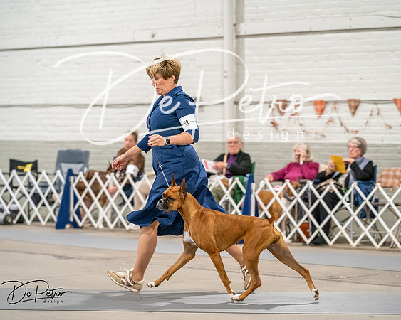 20261022-DSC03237