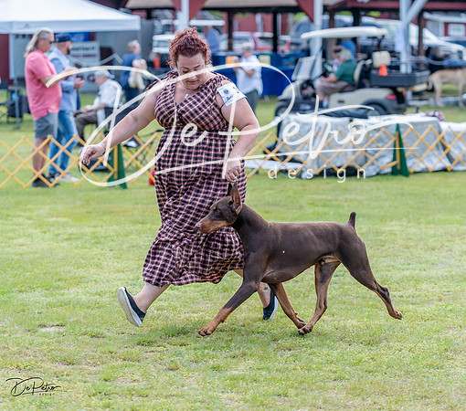 20230513-DSC08802