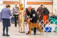 20261024-DSC08369