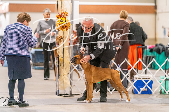 20261024-DSC08369