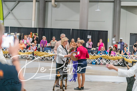 20260927-DSC05272