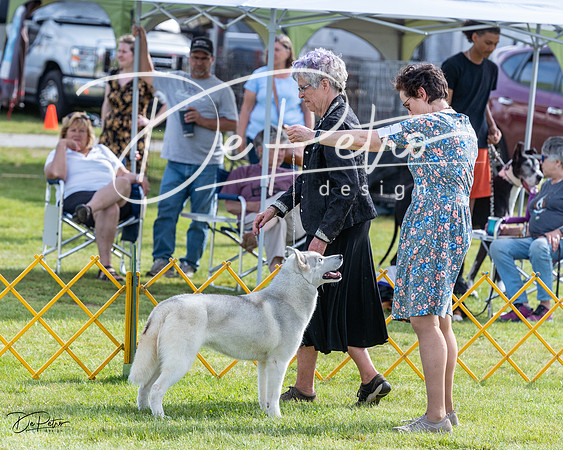 20230513-DSC01118