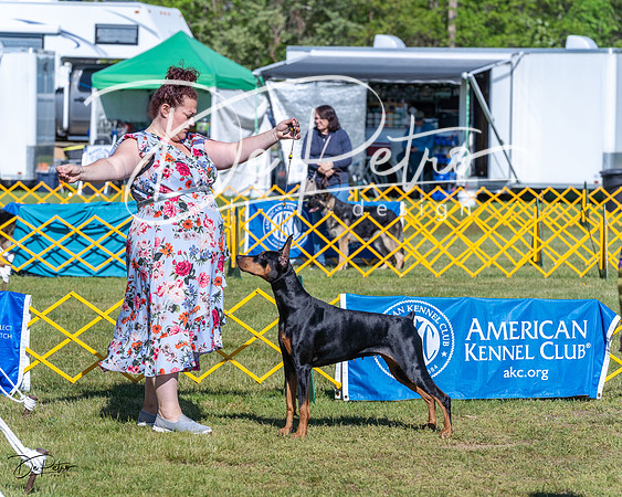 20230514-DSC02652